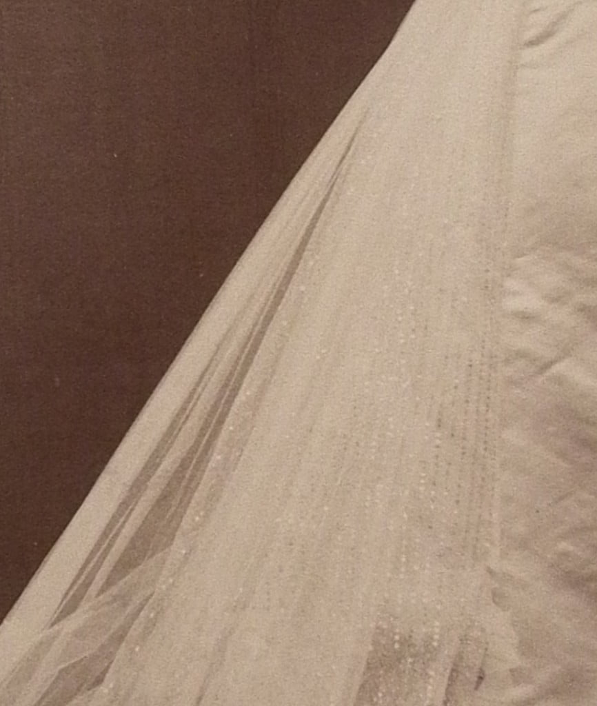 Worth gown 60734, 1901-2, image (c) Cathy Hay with permission of Victoria and Albert Museum Archives