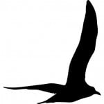 gull-bird-flying-shape_318-63152.png